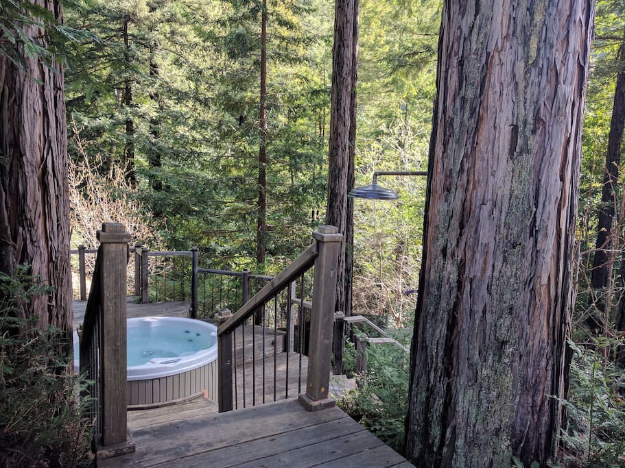 The relaxing jetted hot tub is set within a circle of enchanting redwood trees.
