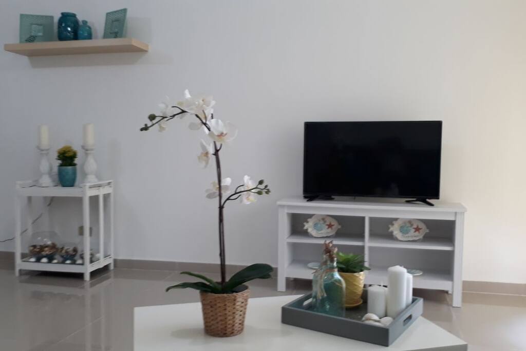 television