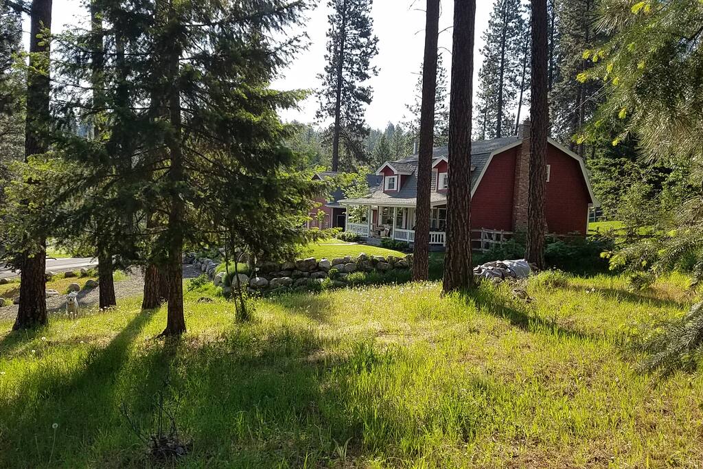 Nestled in towering Ponderosa Pines, Dogwood Barn offers you a place to recharge your life batteries and BREATHE.