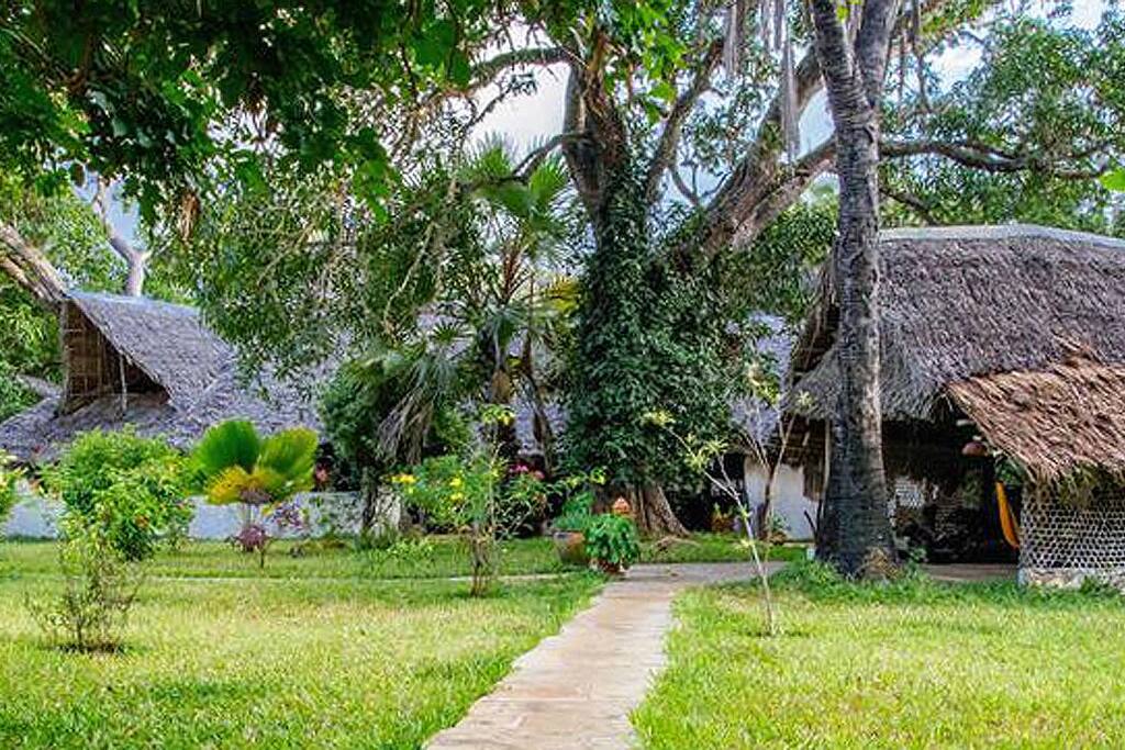 Mikoko Cove is situated in an indigenous coastal forest.