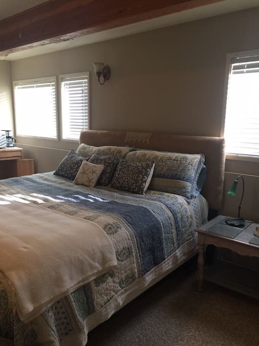Another view of the room; lots of natural light at garden level.