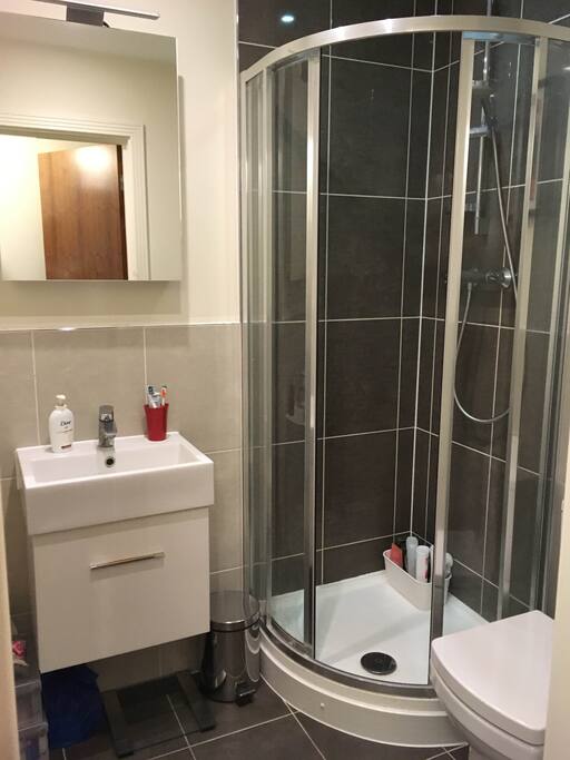 Master bedroom's bathroom (shower)