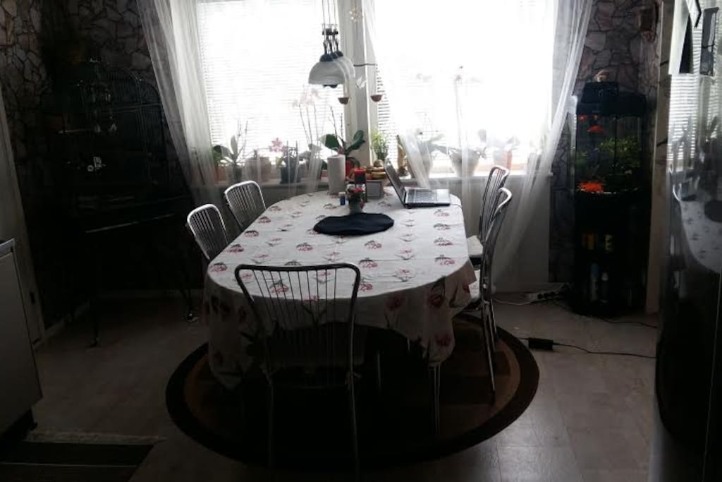 Shared kitchen