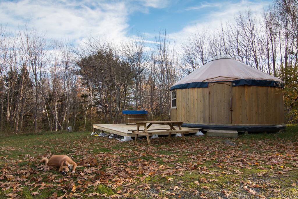 The Cedar Yurt at Cabot Shores Yurts for Rent in Englishtown, Nova