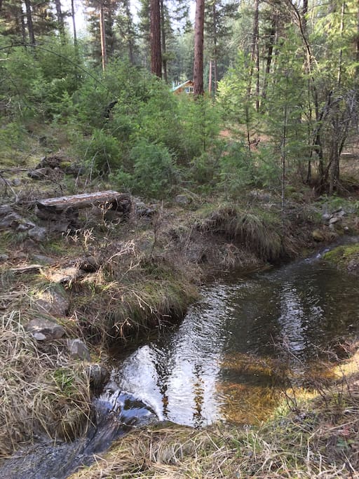 Creek and pond below cabin
