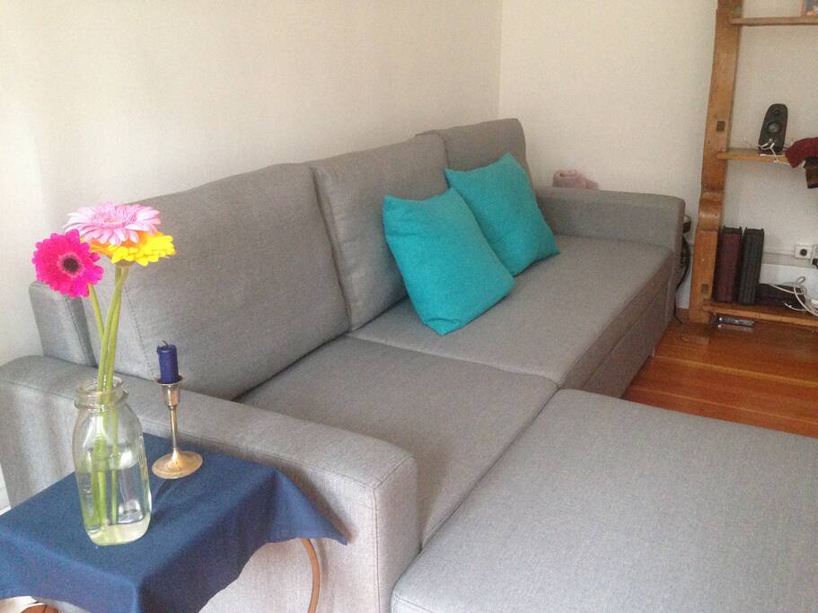 Comfortable sofabed