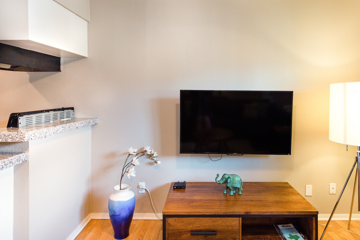 Fabulous South Lamar Condominium with Luxury Touches