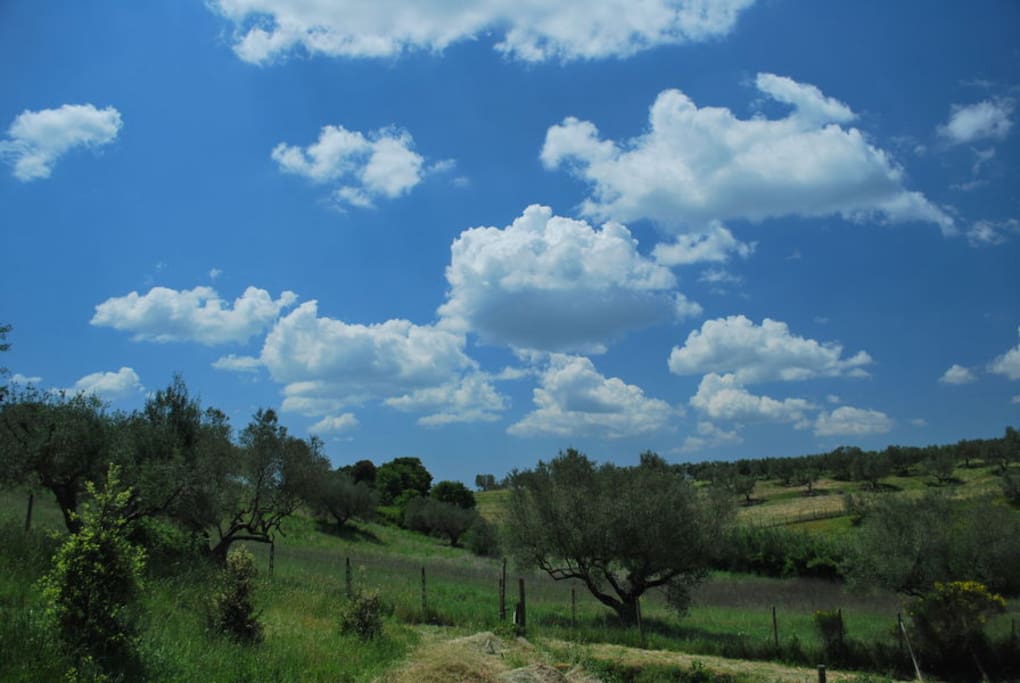 near by landscapes