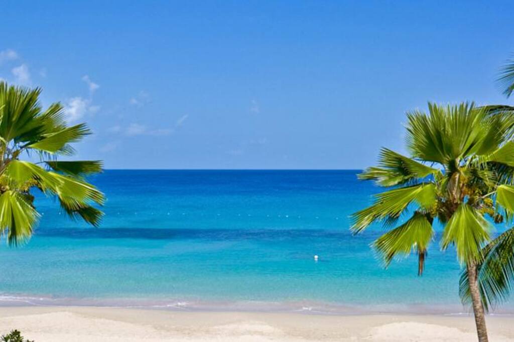 Local beach