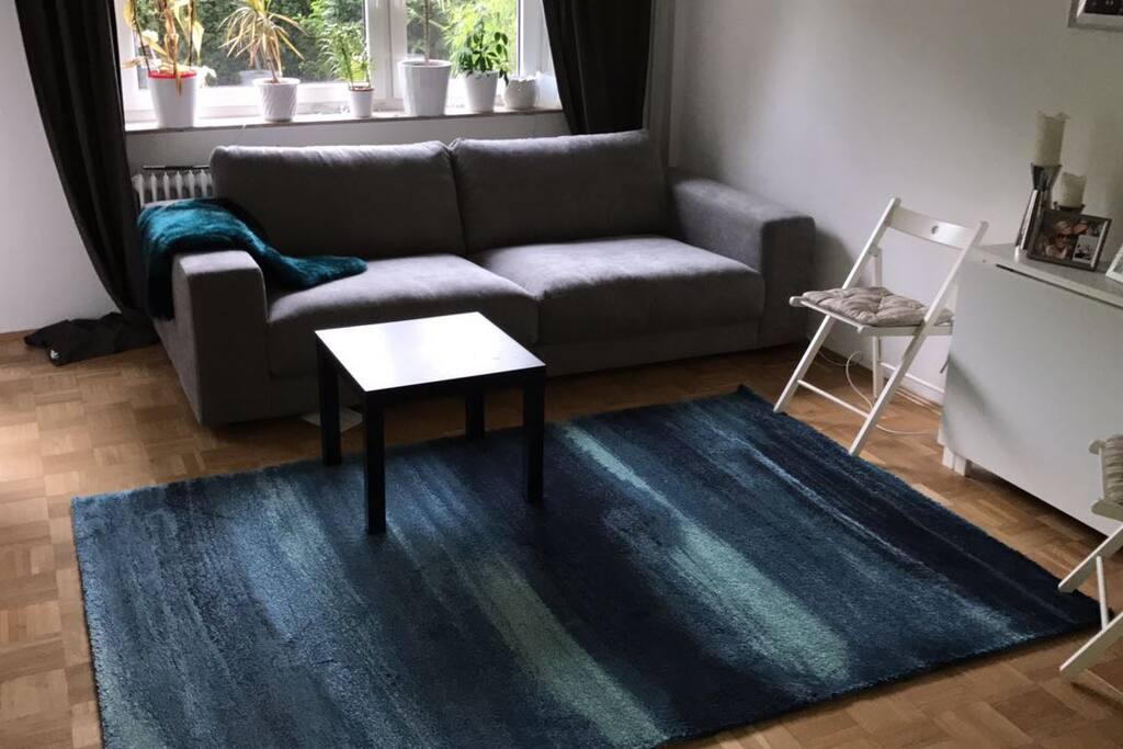 Nagelneue Couch und neuer Teppich