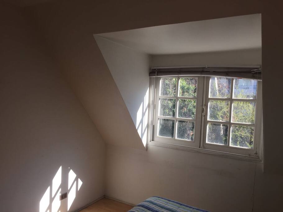 Habitación 1