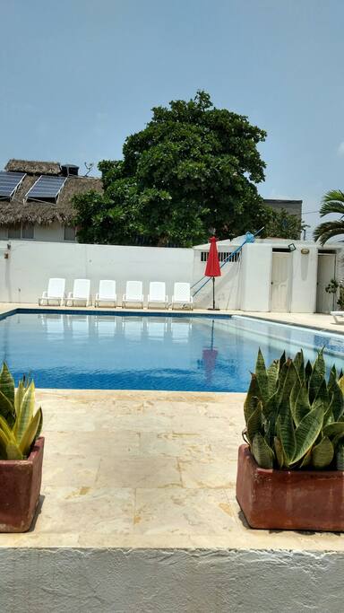 Piscina a en el área social con asoleadoras ideal para tomar el sol