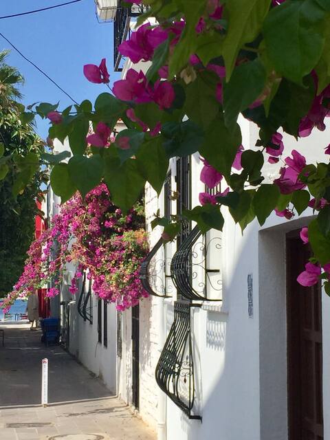 BODRUM MERKEZDE PLAJA/DENİZE 30 MT BAHÇELİ 2+1 EV