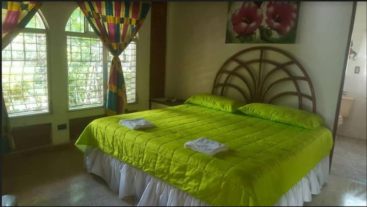 Მთავარი საძინებელი, საწოლი 193 × 203 სმ