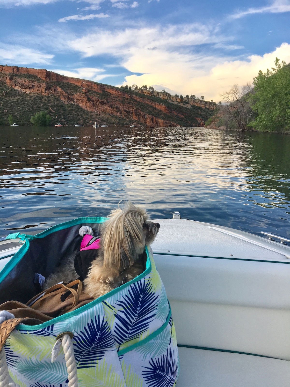 A small dog is nestled in a colorful bag on the edge of a boat. The serene water reflects surrounding cliffs and trees under a partly cloudy sky, creating a peaceful setting for outdoor activities.
