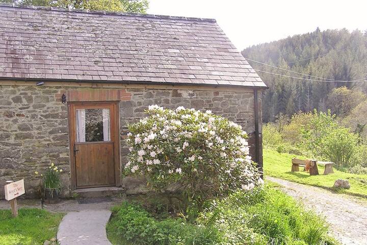 The Wren's Nest - simple woodland retreat
