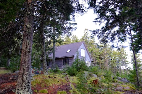 Secluded Ocean Front Cabin on Seal Cove