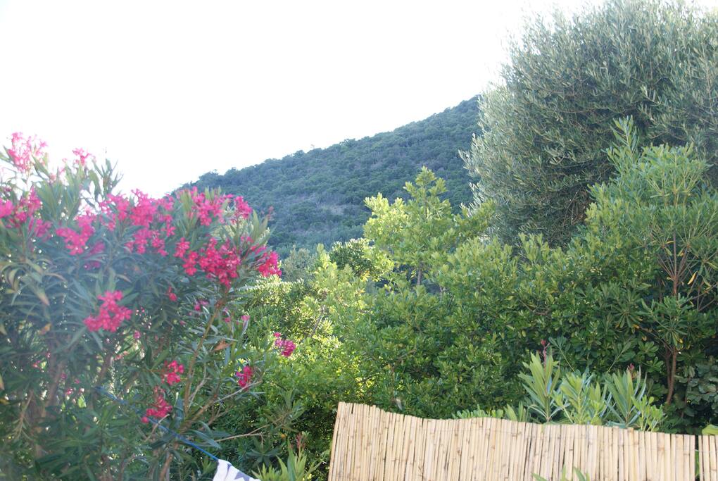 Vue à gauche de la terrasse