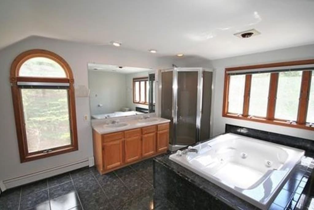 Over-sized master bathroom with jacuzzi tub and bidet