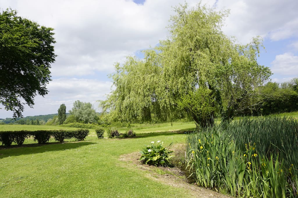 Une balade dans le jardin