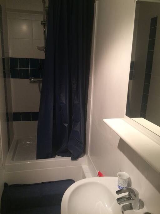 une salle de bain avec douche + des wc séparés