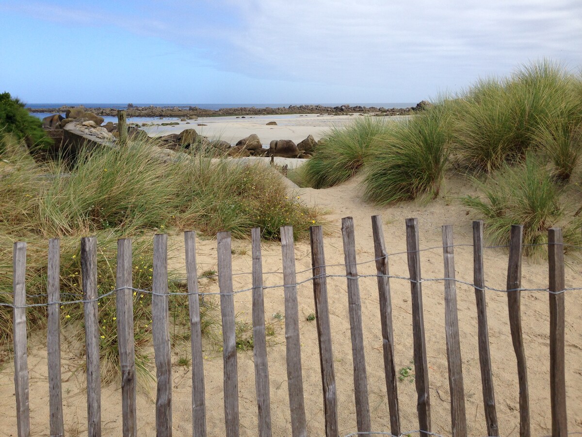 A sandy path leads towards the beach, bordered by tall grass and a wooden fence. The ocean is visible in the distance, with rocky formations along the shoreline. A cloudy sky adds a gentle light to the serene natural landscape.