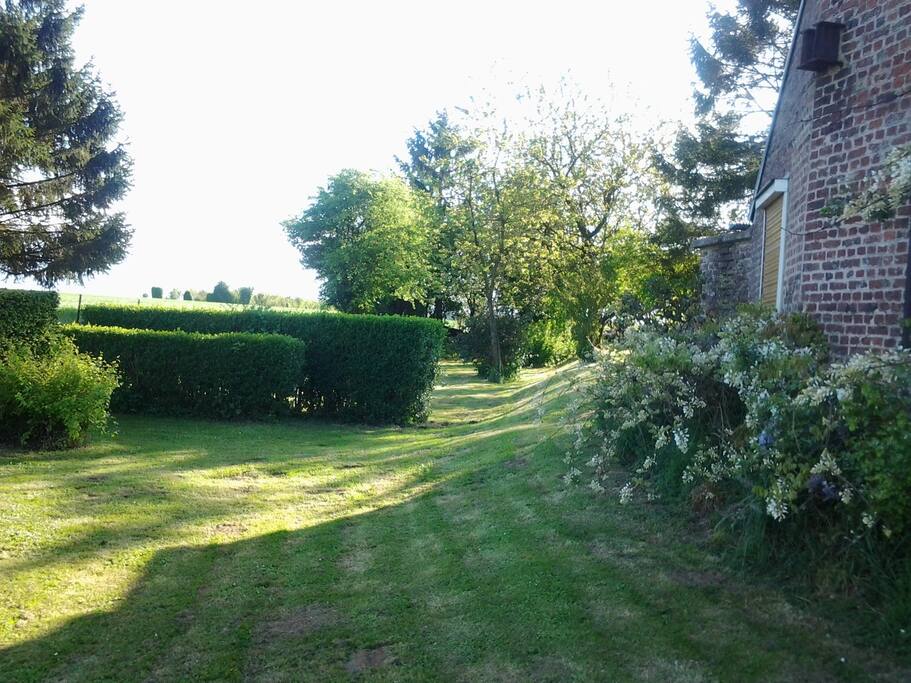 jardin ,pelouse