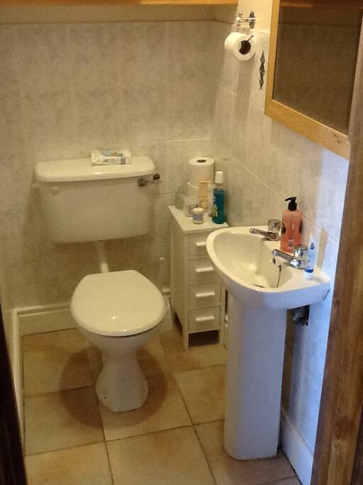 Downstairs toilet