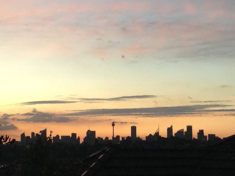 City Skyline View