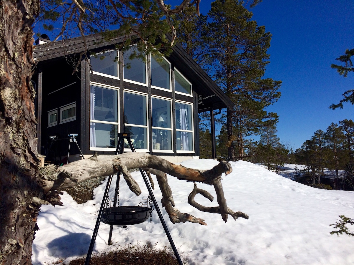 The exterior of the modern cottage features large glass windows allowing ample natural light. A swing hangs from a tree branch in the foreground, while patches of snow blanket the ground, highlighting a serene winter landscape with coniferous trees in the background.