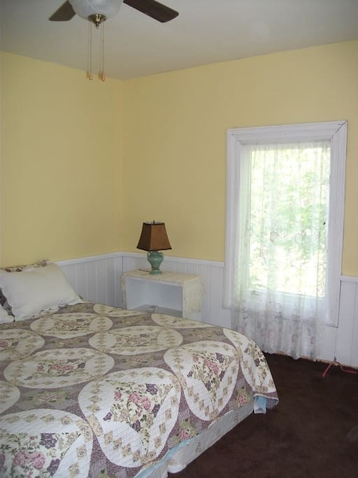 the master bedroom with king bed