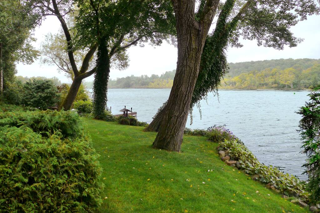 Beautiful lawn for relaxing.