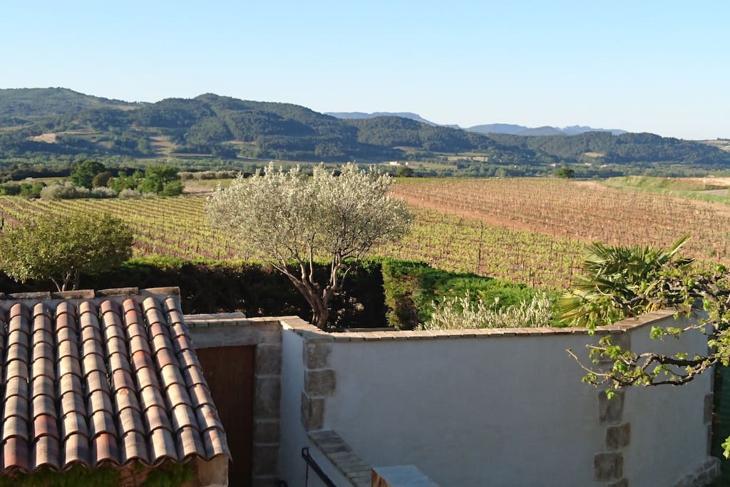 vue sur les Baronnies