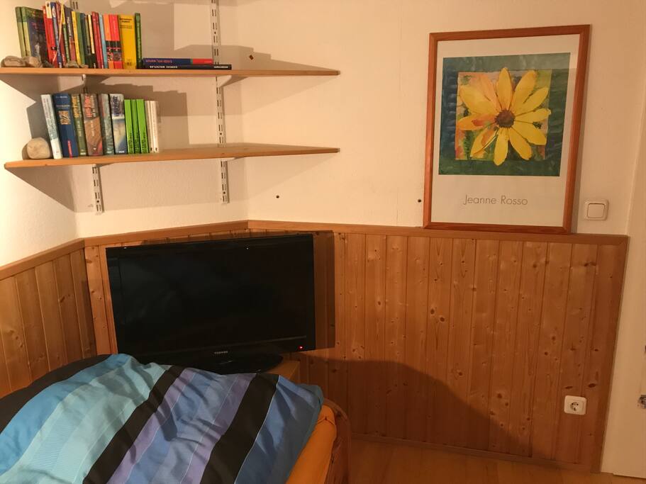 Dein eigener Fernseher
