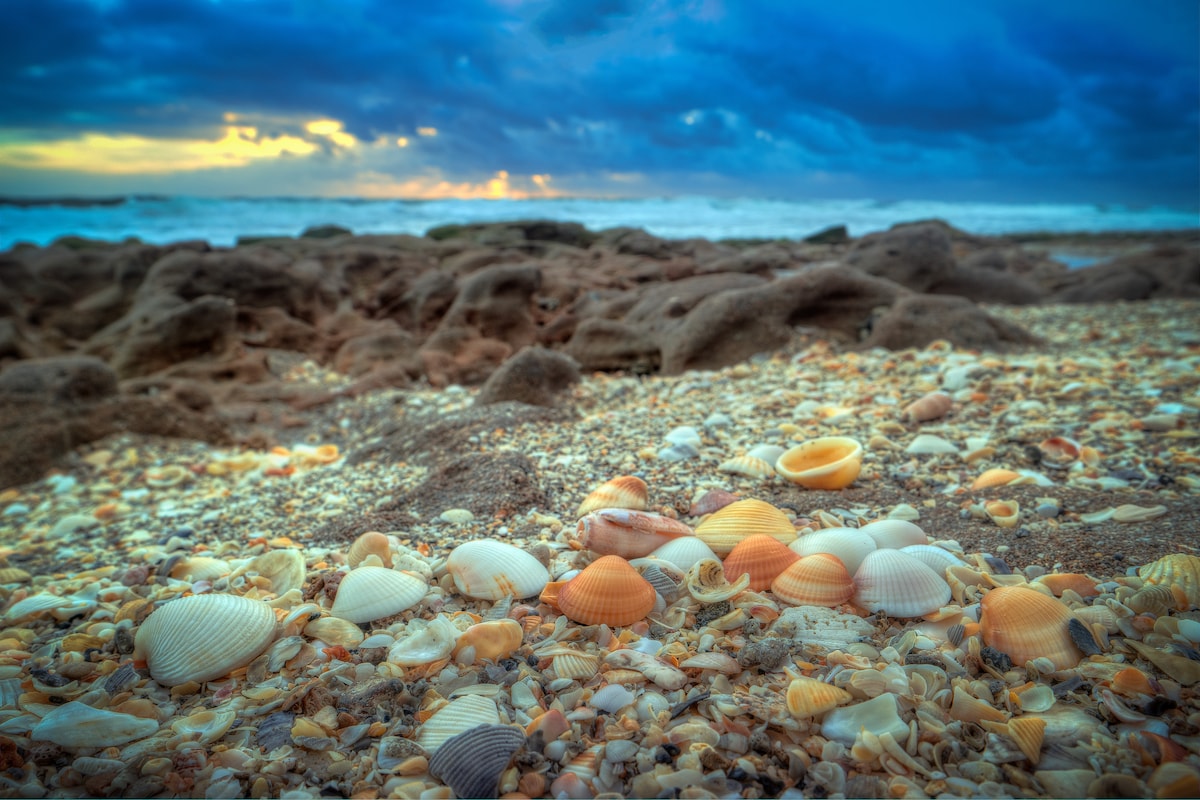 The image captures a shoreline adorned with a variety of seashells scattered across the sand. In the background, rocky formations are visible, with the ocean waves gently lapping against them. A dramatic sky filled with clouds adds depth to the scene, hinting at sunset.