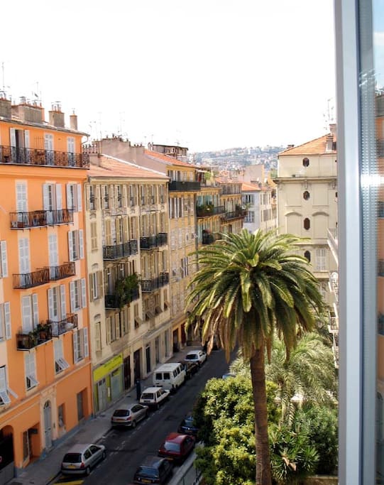 Vue rue et palmiers