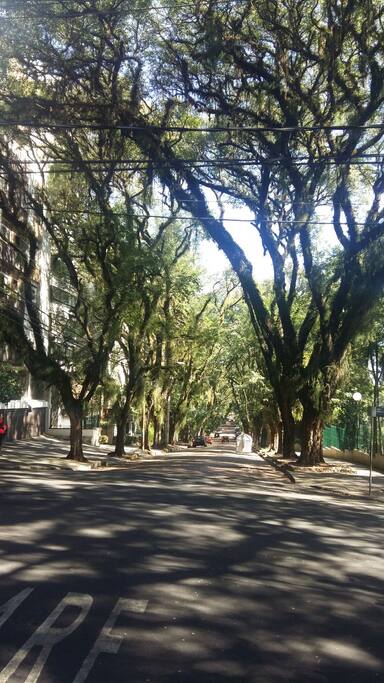 A rua com o título da Rua mais linda do mundo: https://pt.m.wikipedia.org/wiki/Rua_Gon%C3%A7alo_de_Carvalho