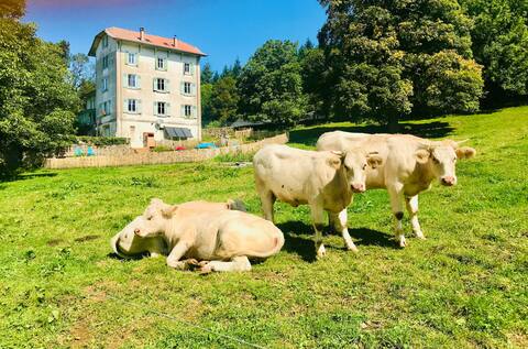 #Le Grand Dehors "Le Grand Dehors"