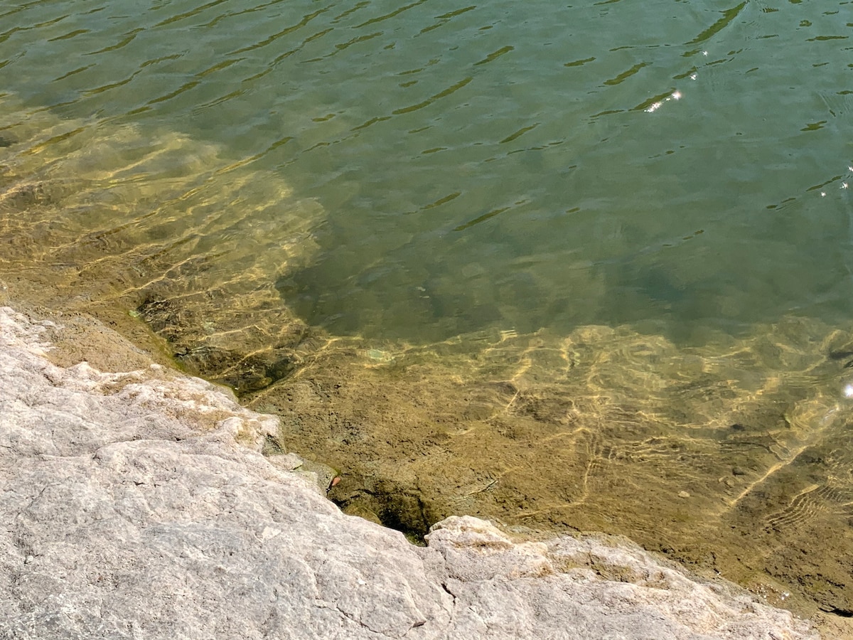 The image captures the shoreline of Lake Belton, where clear water gently laps against a rocky edge. Sunlight creates sparkling reflections on the surface, while hues of green and brown are visible beneath the water, indicating shallower areas along the shore.