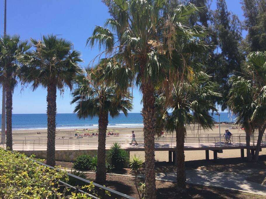 Vista del paseo marítimo y de la playa desde el jardín