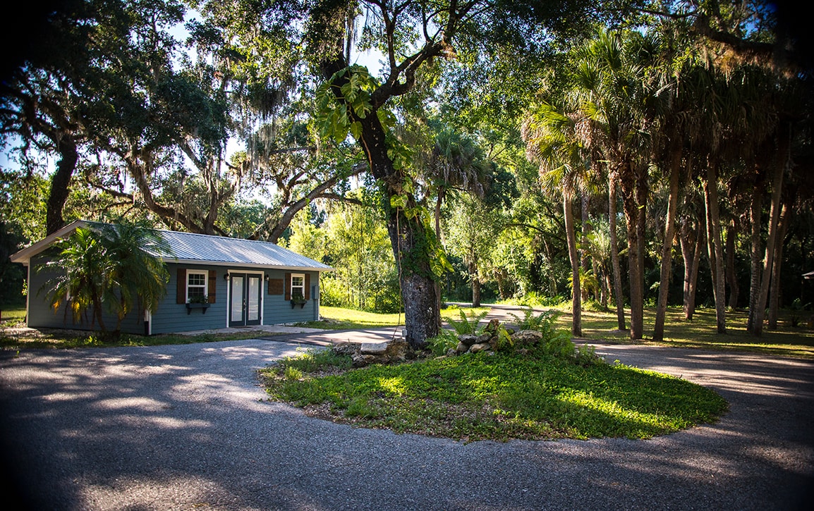 A charming cottage is nestled among lush greenery, surrounded by tall trees and palms. A gravel pathway curves gently around the property, enhancing the serene outdoor setting. Sunlight filters through the foliage, creating dappled light across the landscape.