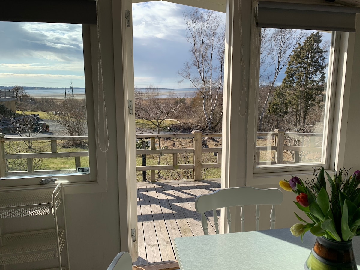 Large windows frame a scenic view of the outdoors, showcasing a serene landscape with trees and distant water. A dining area features a light-colored table and a vase filled with colorful tulips, while wood decking extends outside.