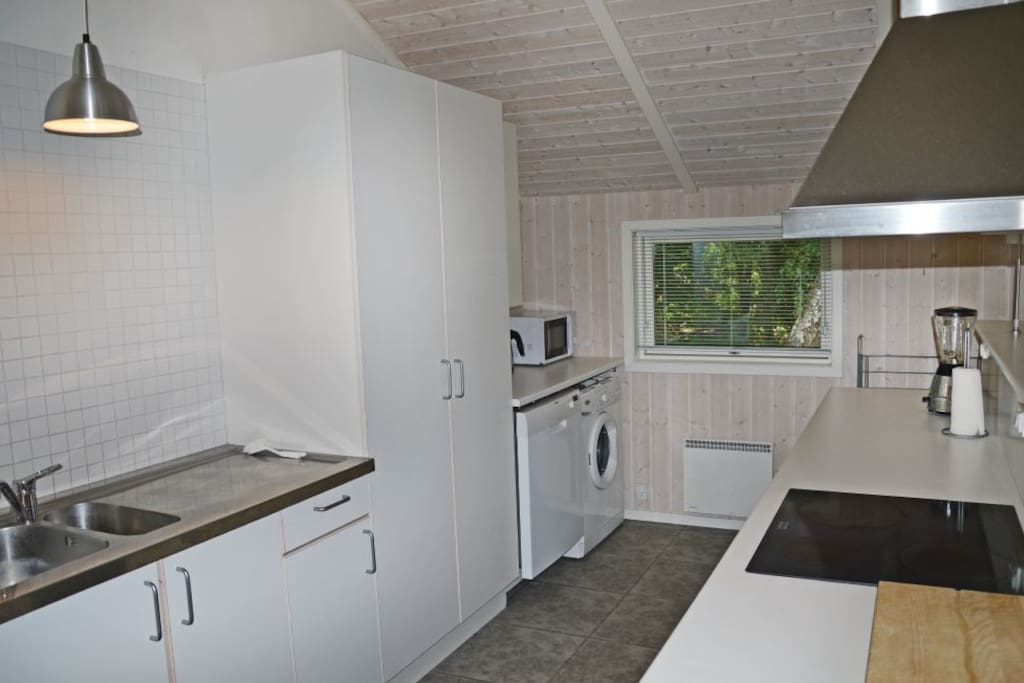 Kitchen with dishwasher and washing machine