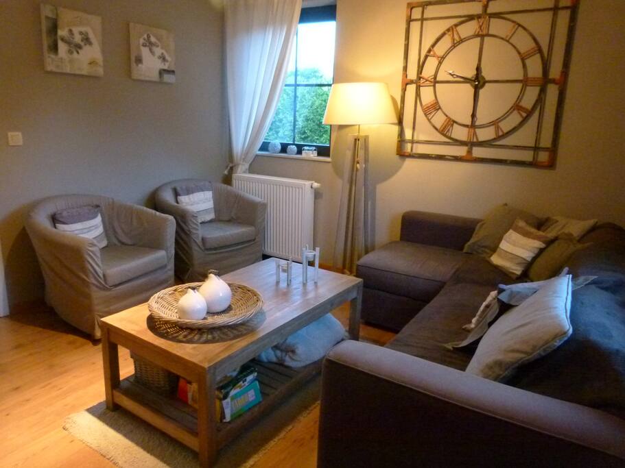 salon avec tv, dvd