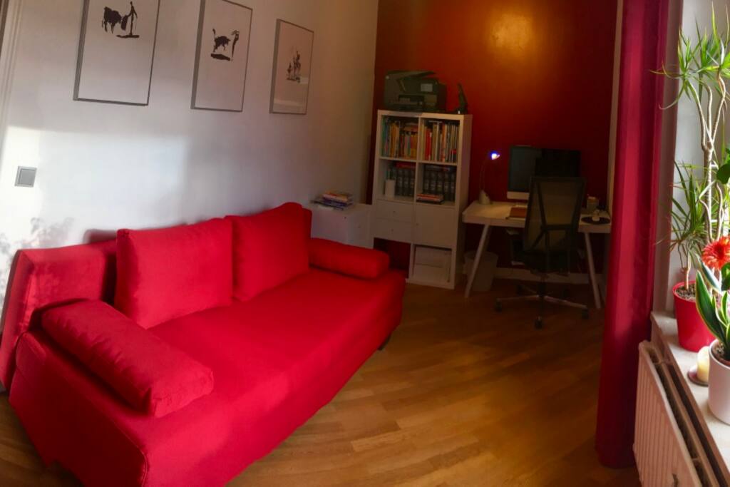 Your sunny guest room with the brand-new sofa bed