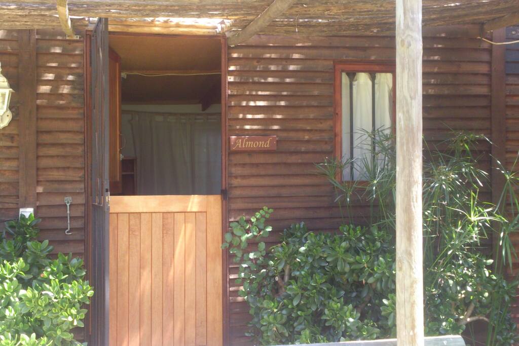 Almond-exterior
