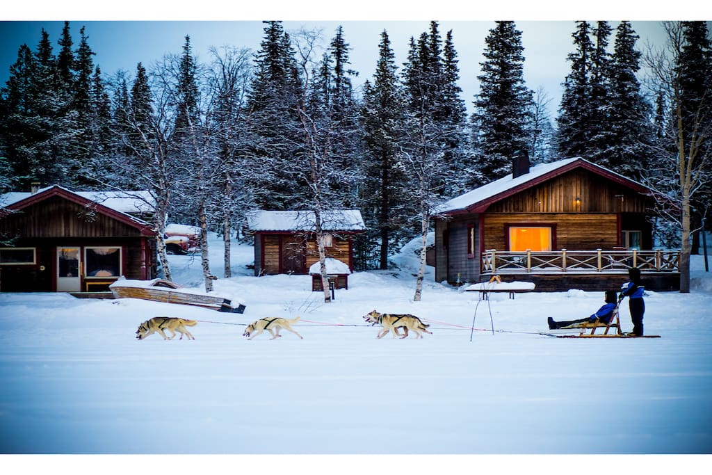 Cabin in the Winter campalta.se