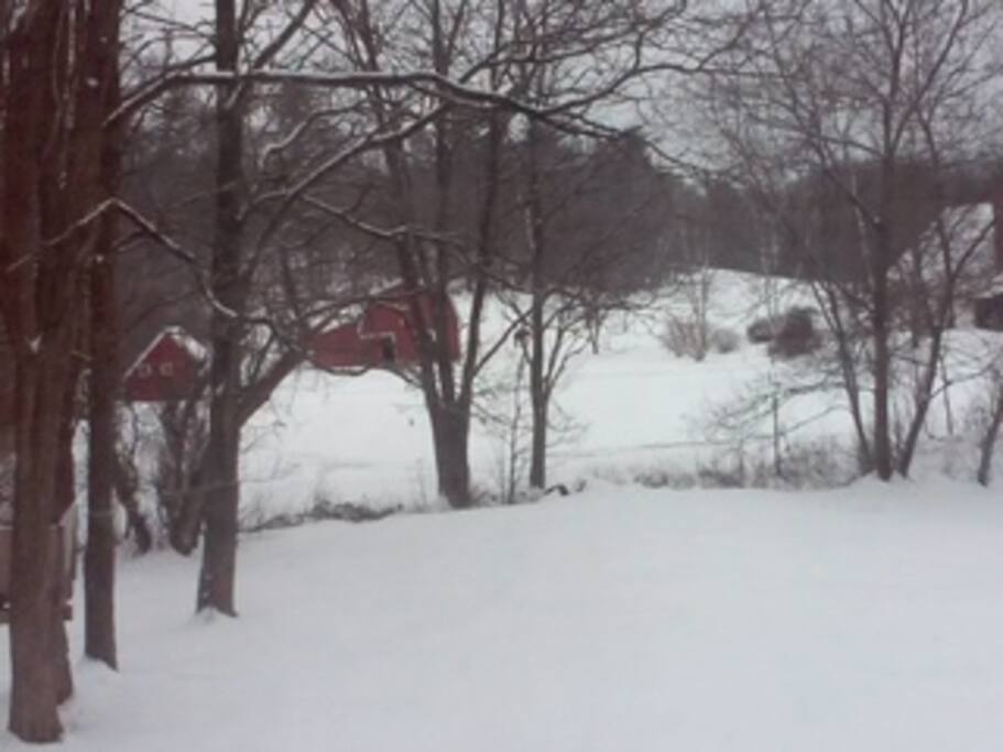VIEW OF BACKYARD TO NEIGHBOR
