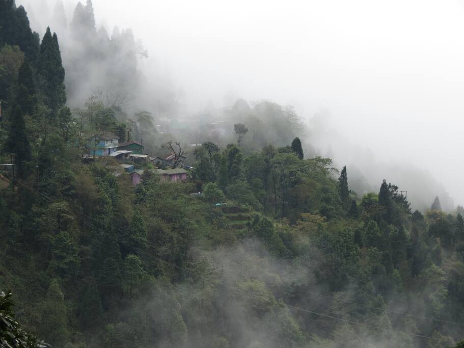 View from the herb garden on a misty day