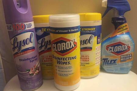ALWAYS Clorox Clean (see reviews). Sofabed @ I-85